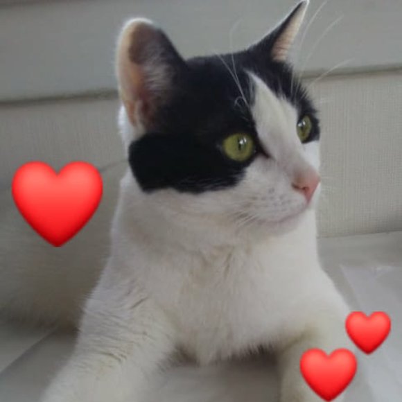 Meet your Posher, Lisa - Picture 2 of 3